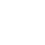 Visa Payment Icon